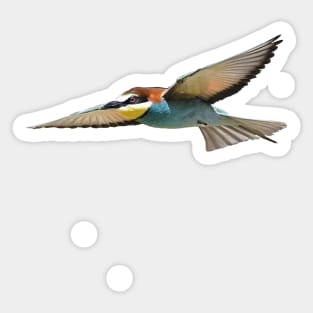 A European Bee-Eater In Flight Cut Out Sticker